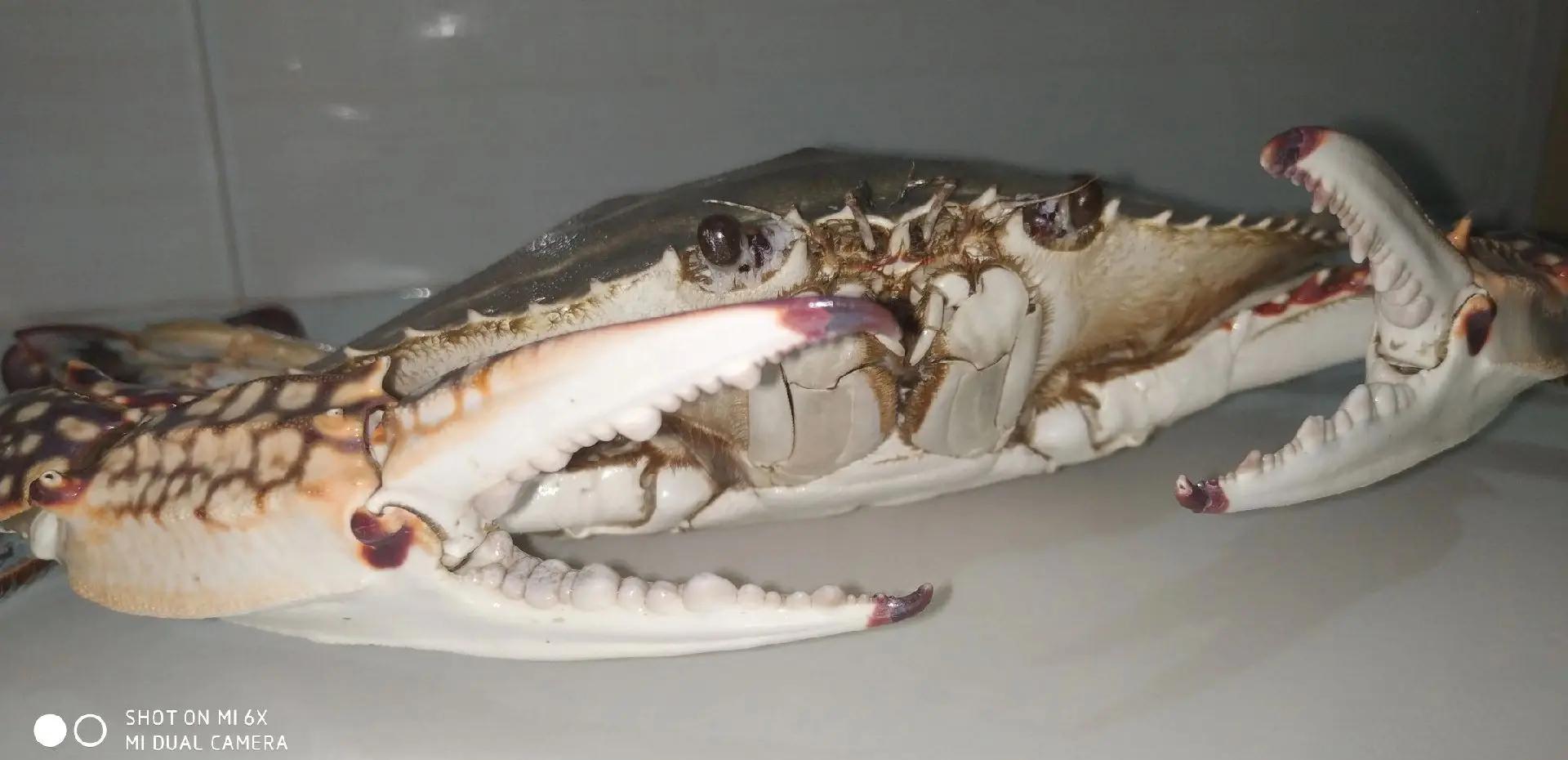 魚k???@?~歺鈾	晙Z=