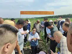 抺詅墴揥纍u据扅`?榆沤夭呐的简单介绍